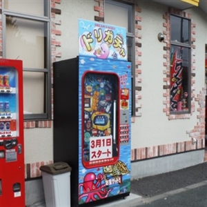 1000円ガチャと呼称される自動販売機の歴史 記憶をたどる